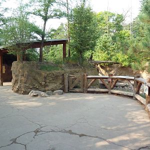 Russia's Grizzly Coast - Wild Boar Exhibit