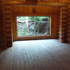 Russia's Grizzly Coast - Amur Leopard Exhibit