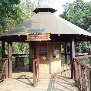 Northern Trail - Amur Tiger Exhibit Base Camp