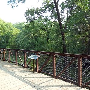 Northern Trail - Amur Tiger Exhibit Boardwalk