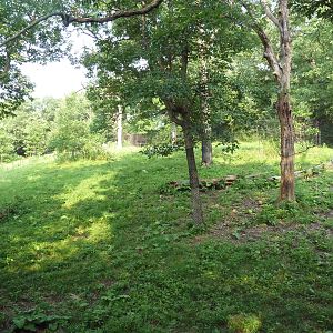 Northern Trail - Sichuan Takin Exhibit