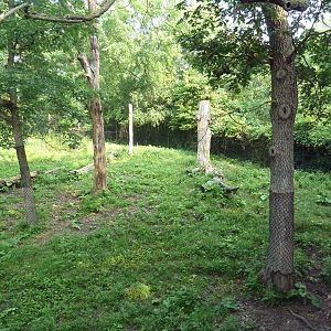 Northern Trail - Sichuan Takin Exhibit