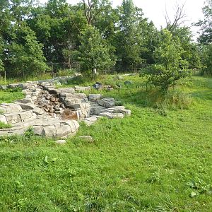 Northern Trail - Sichuan Takin Exhibit