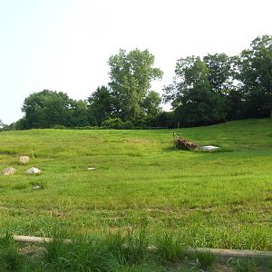 Northern Trail - Goitered Gazelle Exhibit