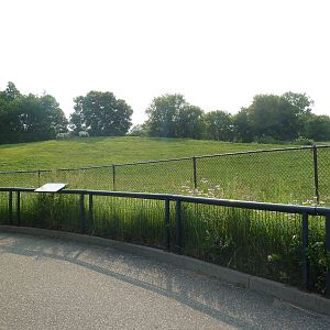 Northern Trail - Asian Wild Horse Exhibit