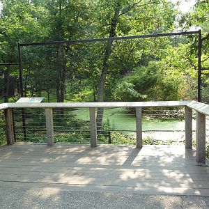 Northern Trail - Dhole Exhibit