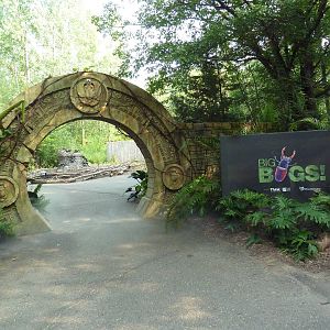 Big Bugs! - Seasonal Exhibit - Entrance