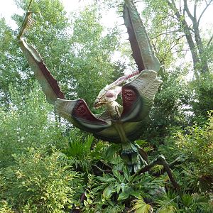 Big Bugs! - Seasonal Exhibit - Giant Devil's Flower Mantis