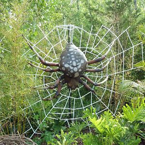 Big Bugs! - Seasonal Exhibit - Orb Weaver Spider