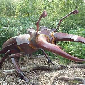 Big Bugs! - Seasonal Exhibit - Stag Beetle