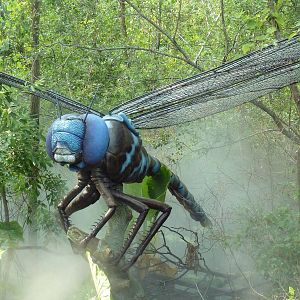 Big Bugs! - Seasonal Exhibit - Blue-Eyed Darner Dragonfly