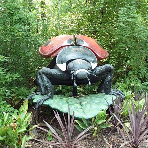 Big Bugs! - Seven Spot Ladybird Beetle