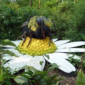 Big Bugs! - Seasonal Exhibit - Red-Tailed Bumblebee