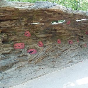 Big Bugs! - Seasonal Exhibit - Termites