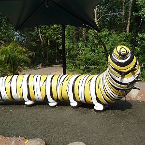 Big Bugs! - Seasonal Exhibit - Caterpillar