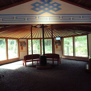 Northern Trail - Dhole Exhibit