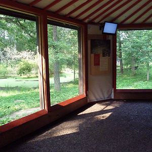 Northern Trail - Dhole Exhibit