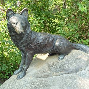 Northern Trail - Dhole Exhibit Statue