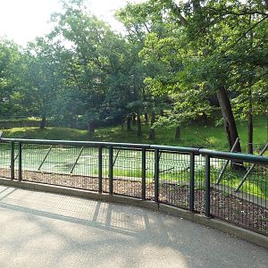 Northern Trail - Moose Exhibit