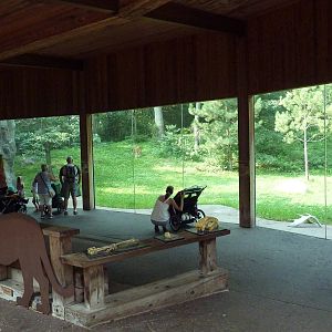 Northern Trail - Amur Tiger Exhibit