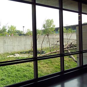 Japanese Macaque Exhibit