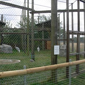 Crane Enclosure at Hamerton Zoo, 23/08/14