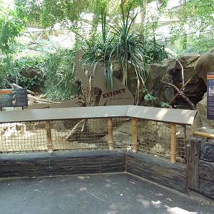 Tropics Trail - Extinct Exhibit (and Radiated Tortoises)
