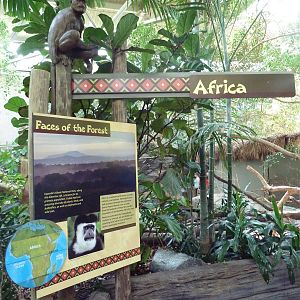 Tropics Trail - Faces of the African Forest Sign