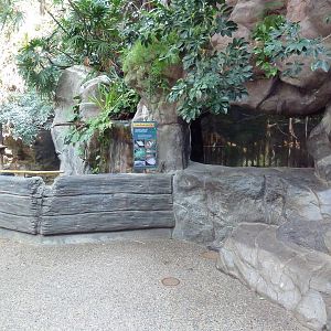 Tropics Trail - Asian Freshwater Fish Exhibit