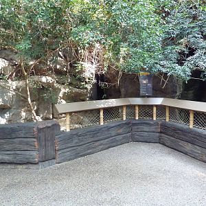 Tropics Trail - Small-Clawed Otter Exhibit