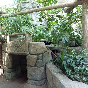 Tropics Trail - Asian Aviary Zone