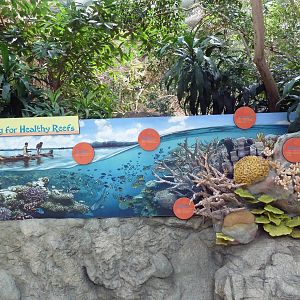 Tropics Trail - Coral Reef Exhibit Sign