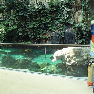 Tropics Trail - Coral Reef Exhibit