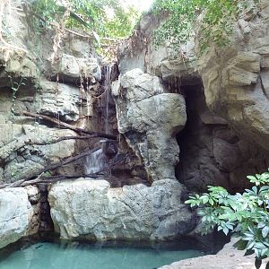Tropics Trail - Coral Reef Exhibit