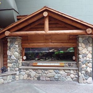 Minnesota Trail - Turtle Exhibit