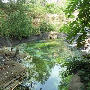 Minnesota Trail - Beaver Exhibit