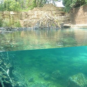 Minnesota Trail - Beaver Exhibit