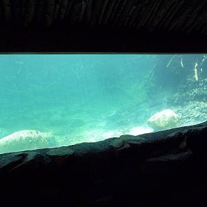 Minnesota Trail - Beaver Exhibit
