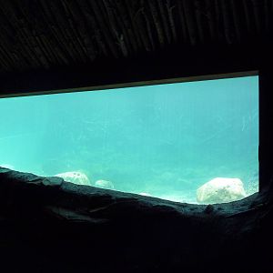 Minnesota Trail - Beaver Exhibit