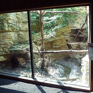Minnesota Trail - North American Porcupine Exhibit