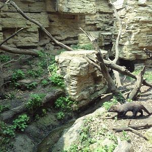 Minnesota Trail - Fisher Exhibit
