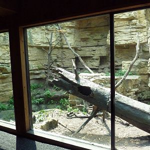 Minnesota Trail - Fisher Exhibit
