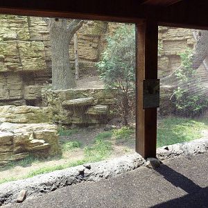 Minnesota Trail - Pileated Woodpecker Exhibit
