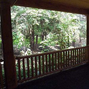 Minnesota Trail - Grey Wolf Exhibit