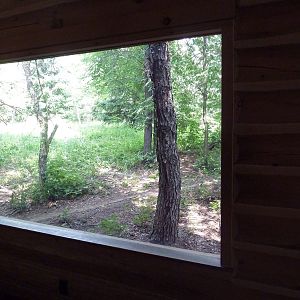 Minnesota Trail - Grey Wolf Exhibit