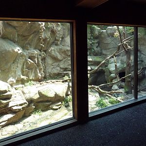 Minnesota Trail - Wolverine Exhibit
