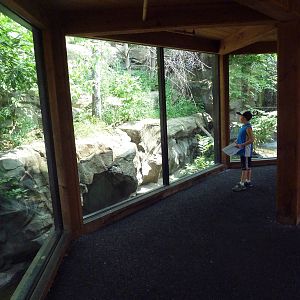 Minnesota Trail - Canadian Lynx Exhibit