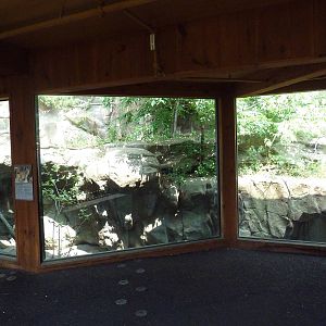 Minnesota Trail - Canadian Lynx Exhibit