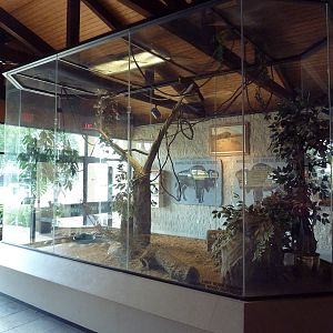 Environmental Center - Bird Aviary (2 Species)
