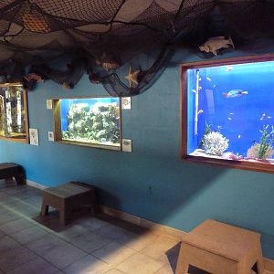 Environmental Center - Assorted Fish Tanks